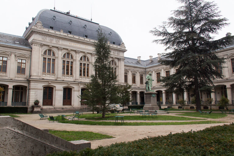 L’incendie criminel de la bibliothèque inter-universitaire de Lyon